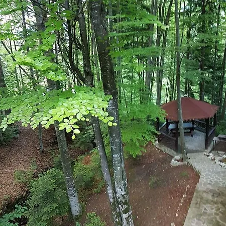 Vila Dani Sinaia Exterior foto