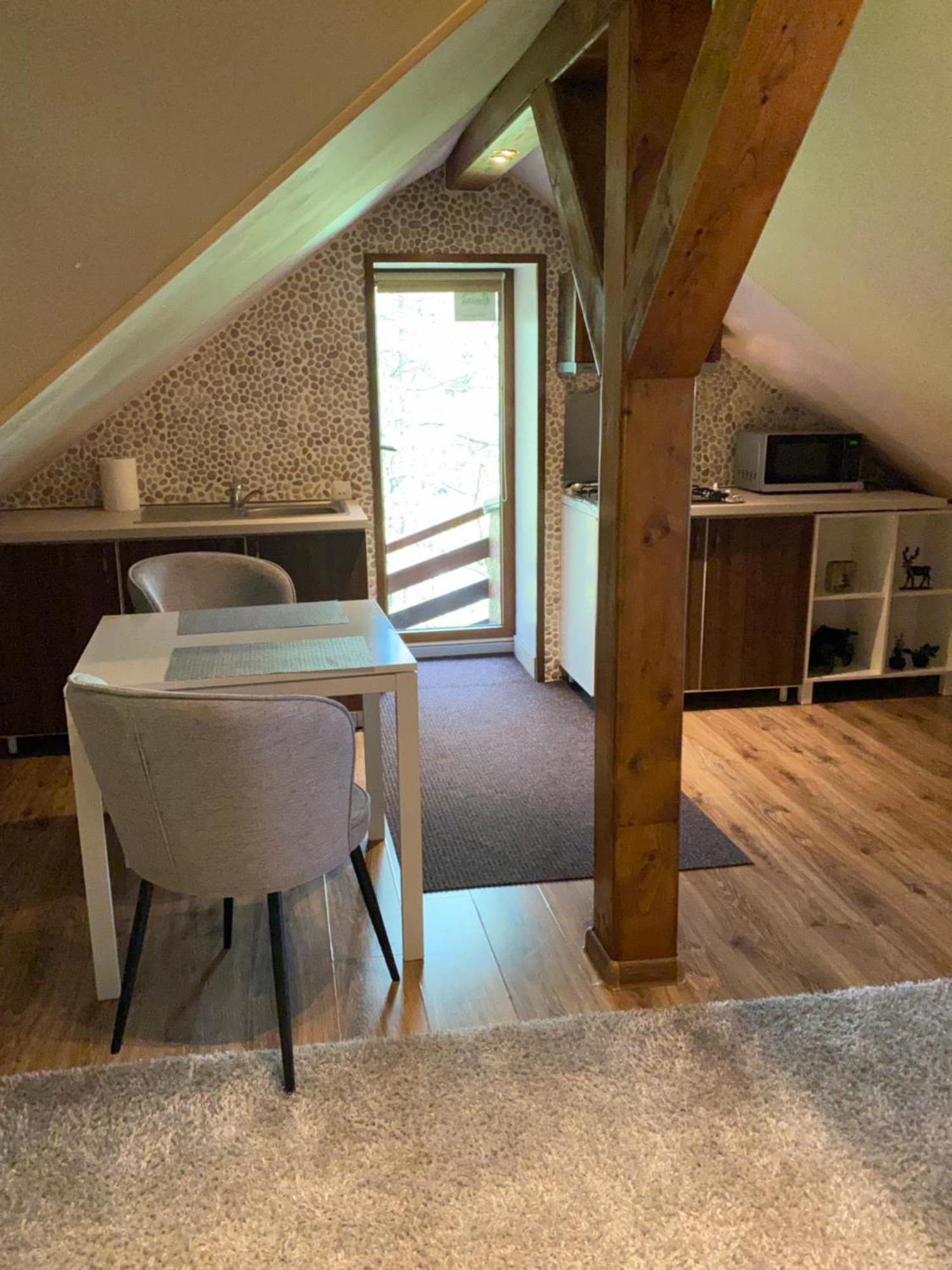 Apartment Dani Sinaia