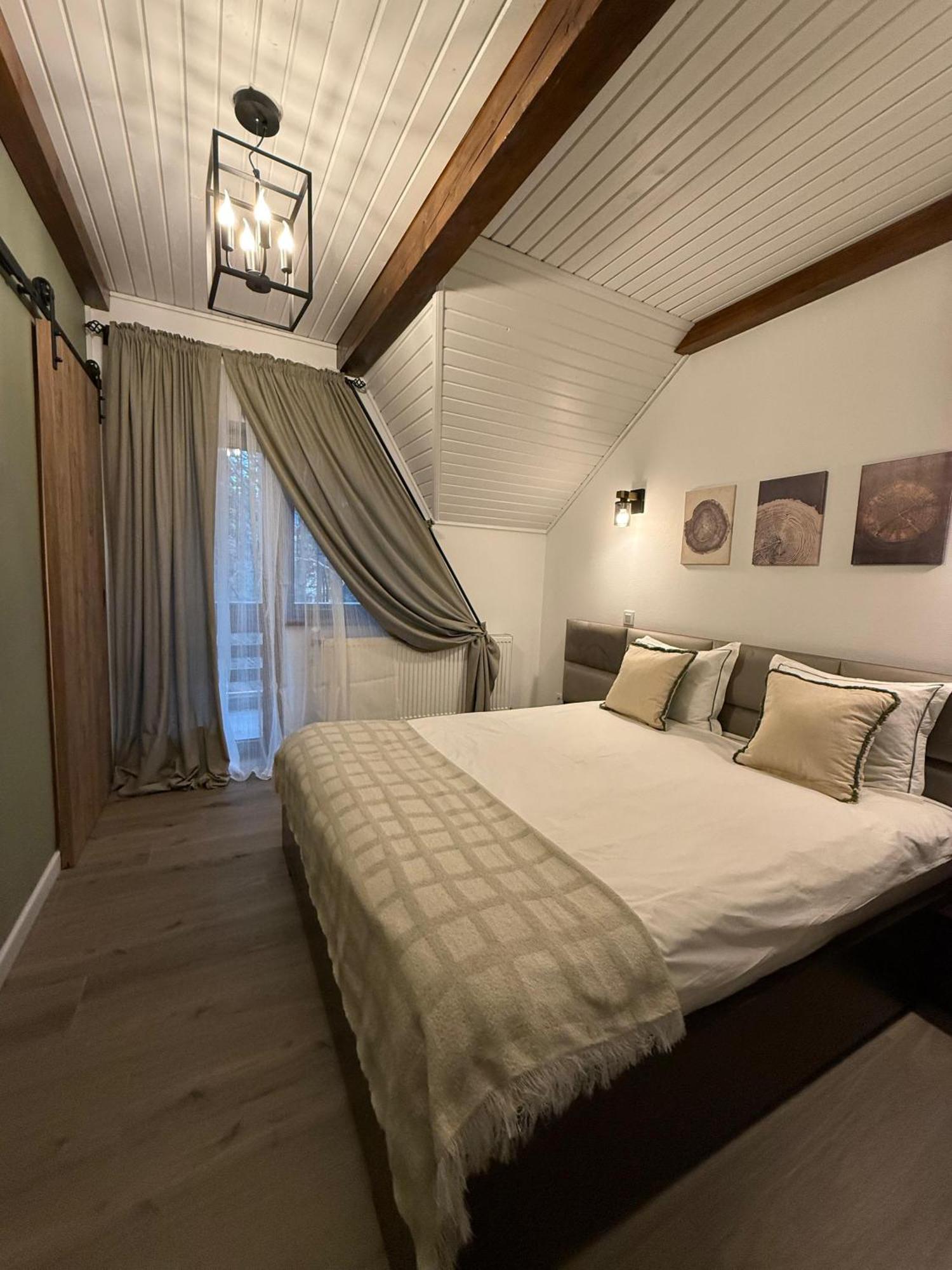 Dani Apartment Sinaia
