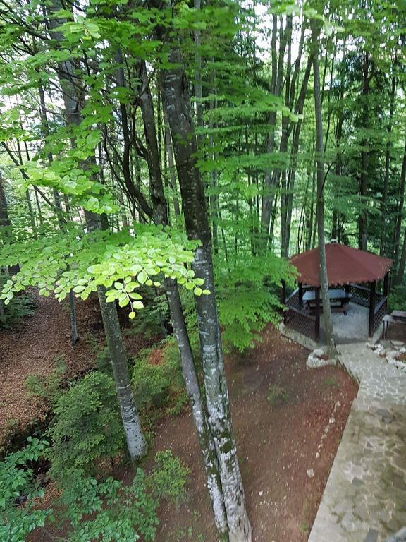 Dani * Sinaia