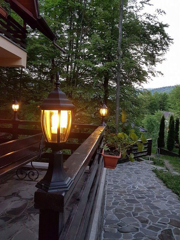 Dani Apartment Sinaia